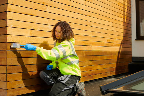 Best Siding Removal and Disposal  in Petal, MS