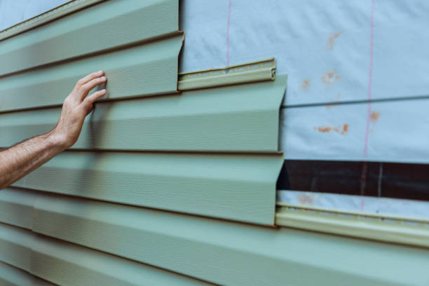 Best Siding Repair  in Petal, MS