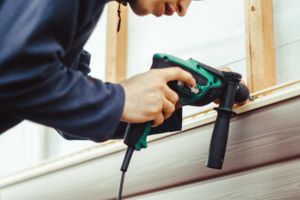 Best Historical Building Siding Restoration  in Petal, MS